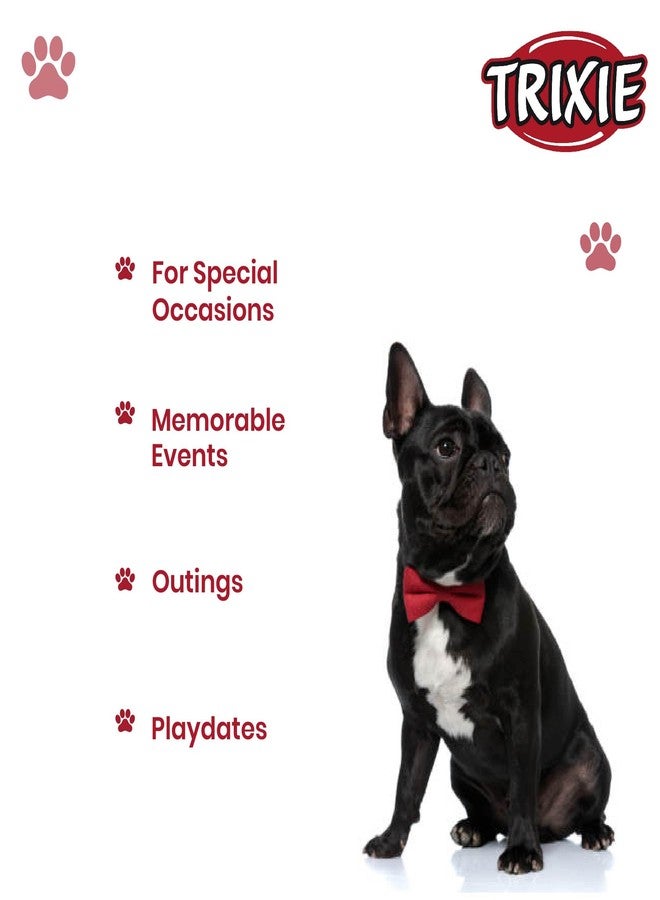 Trixie Adjustable and Easy to Wear Christmas Suit Assorted Bow Tie for Dogs for Grooming and Fashion - Image 5